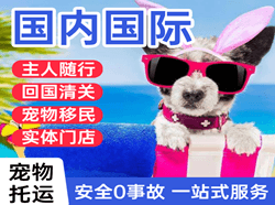 石河子花园机场空运国际宠物托运 【国